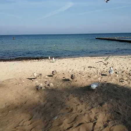 بيت للعطل Uzenabow