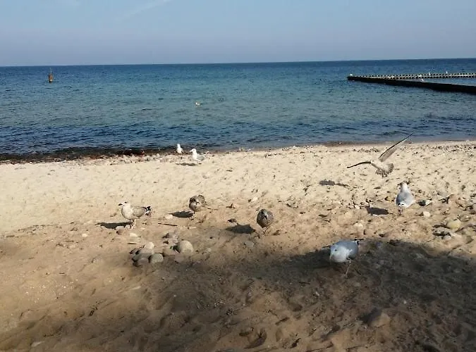 Дом отдыха Uzenabow